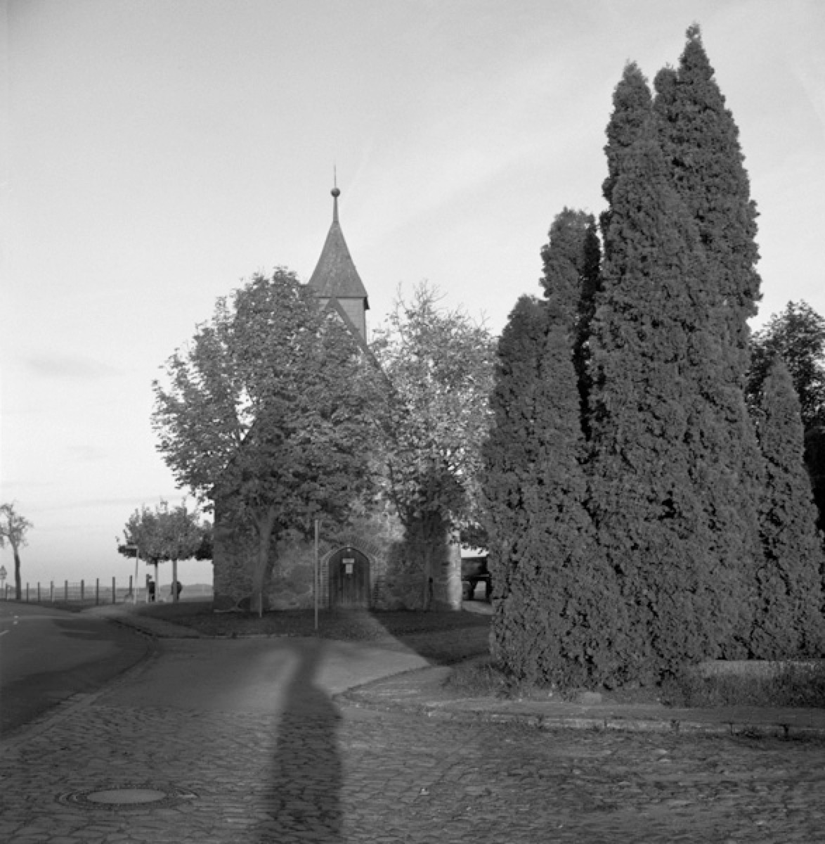 Loading Image