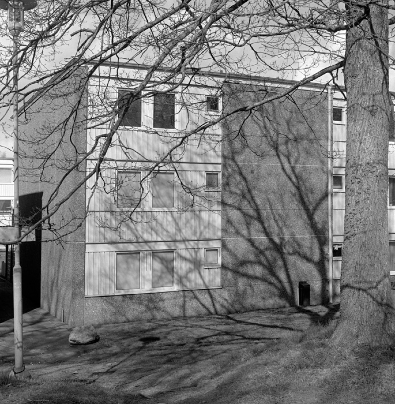 Loading Image