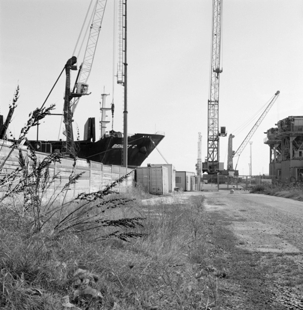Loading Image
