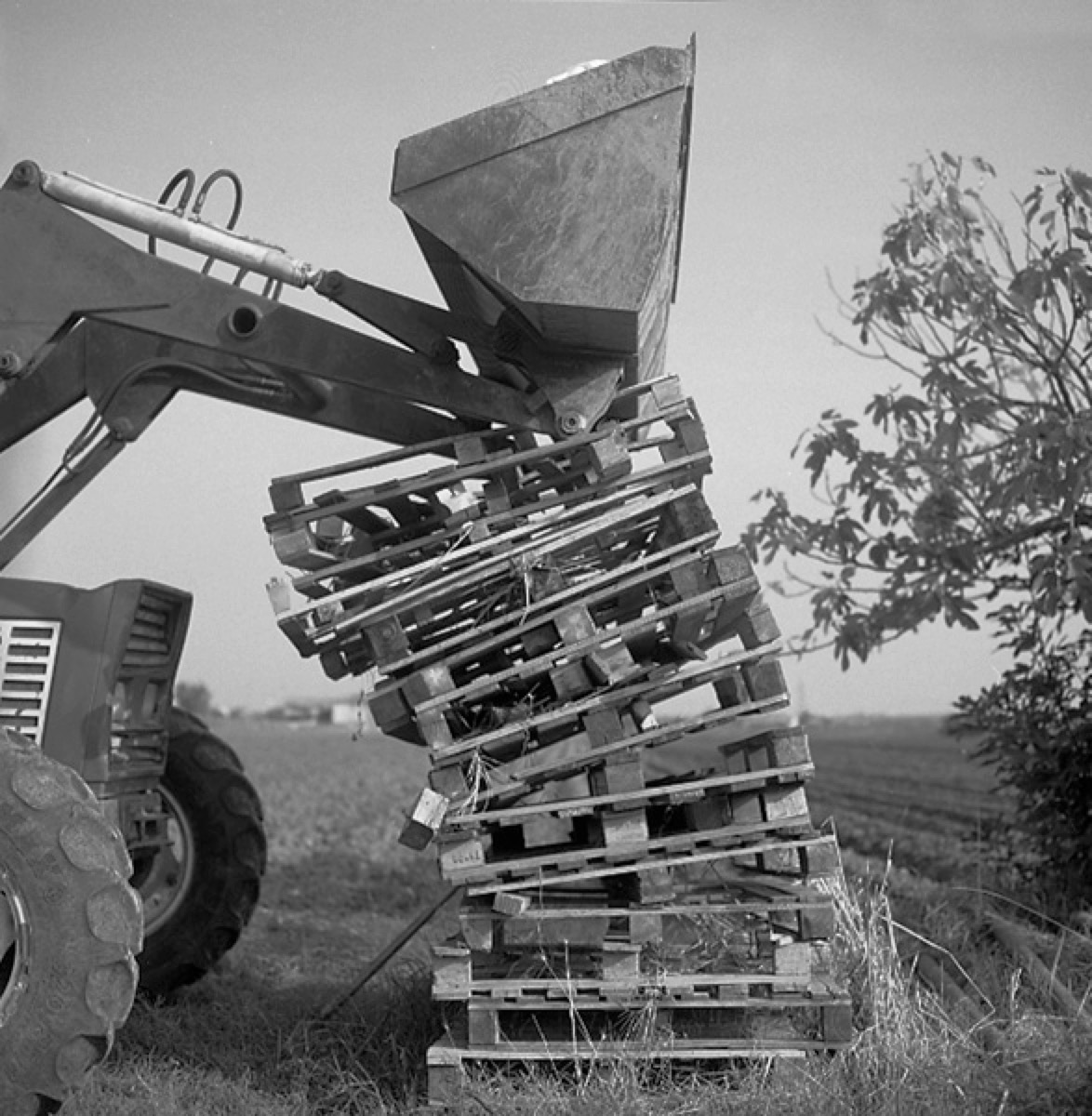 Loading Image