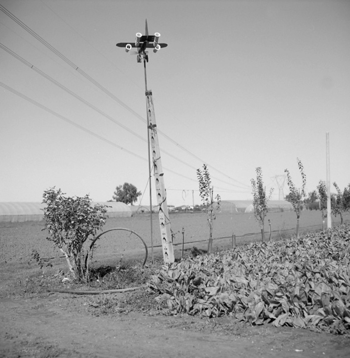 Loading Image