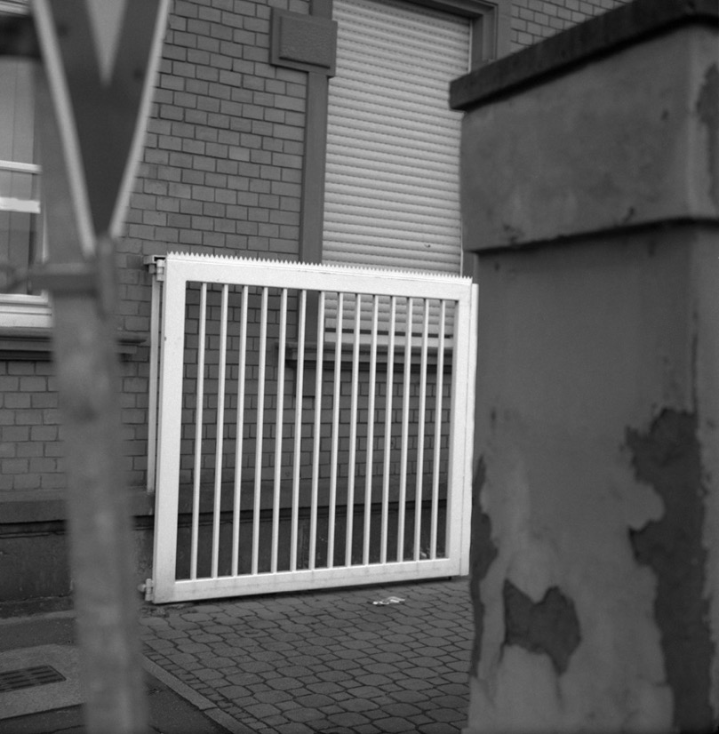 Diez 200707810.jpg