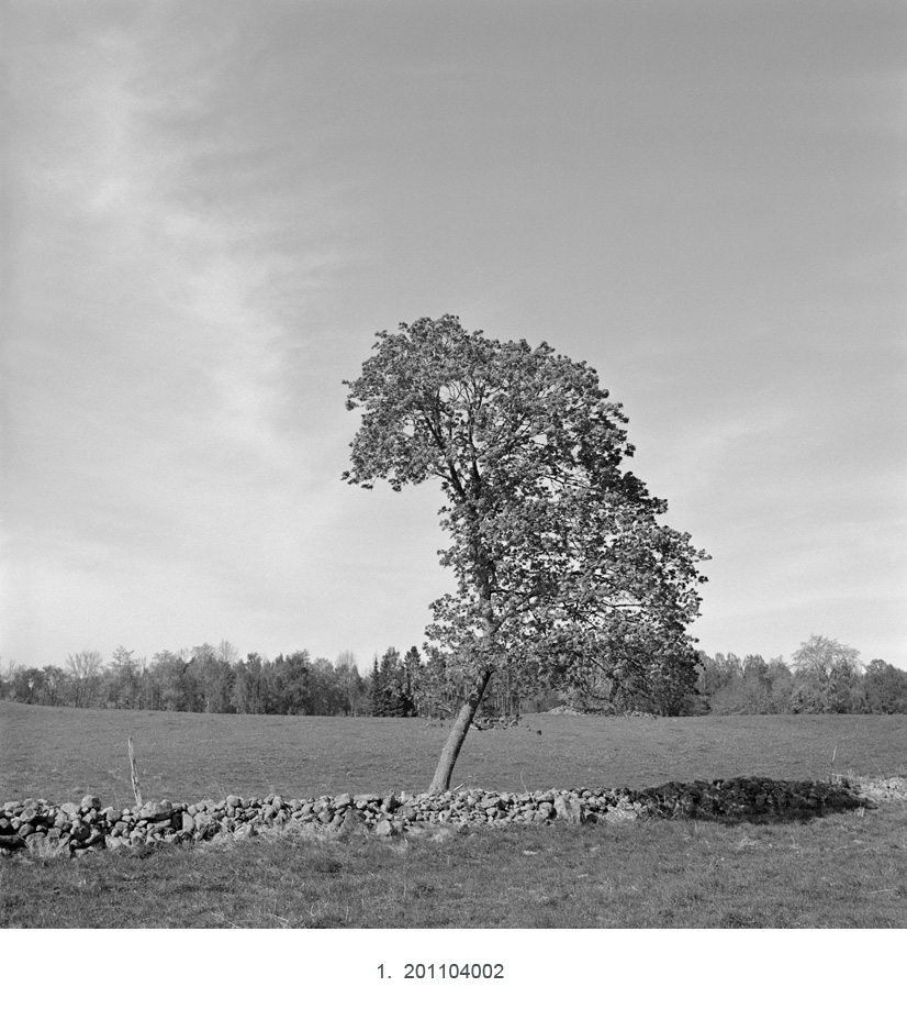 201104002 826