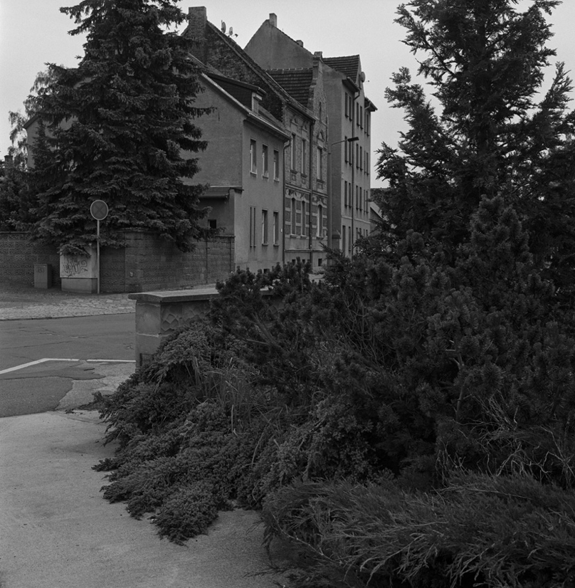 Fortststrasse