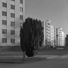 200503701.jpg