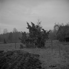 201404905.jpg