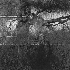 015.jpg
