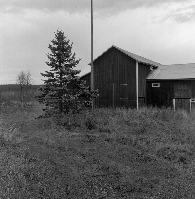 Hjärnsjö