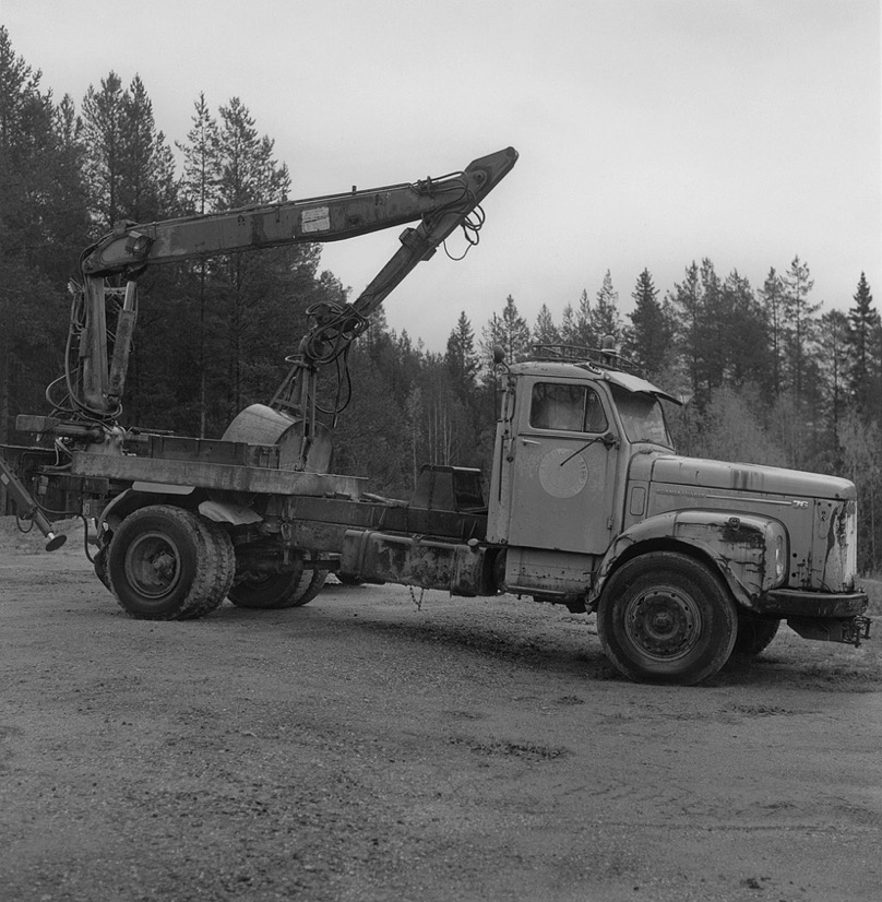 Långviksmon