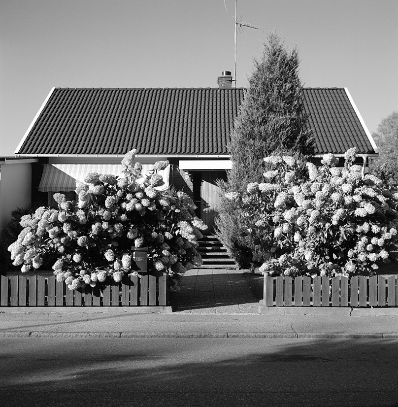 Vissefjärda