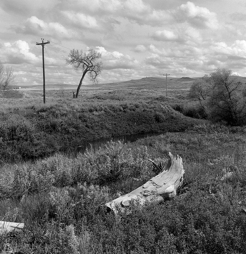 Moorcroft / Wyoming