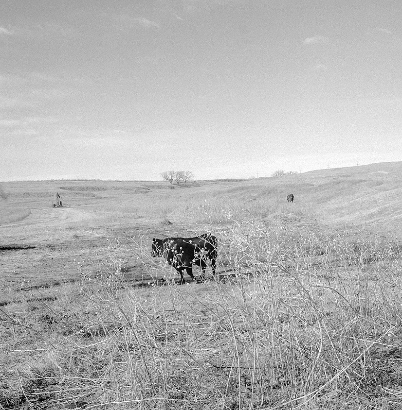 Stuttgart Landslkap 201805506.jpg