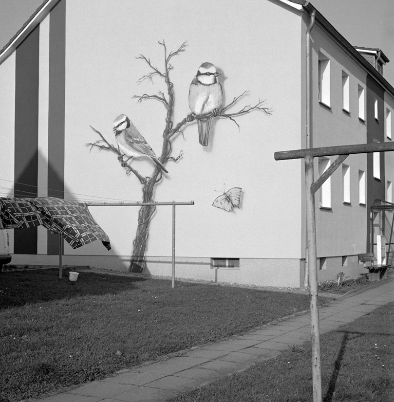 Mühlen Eichsen 201723808.jpg